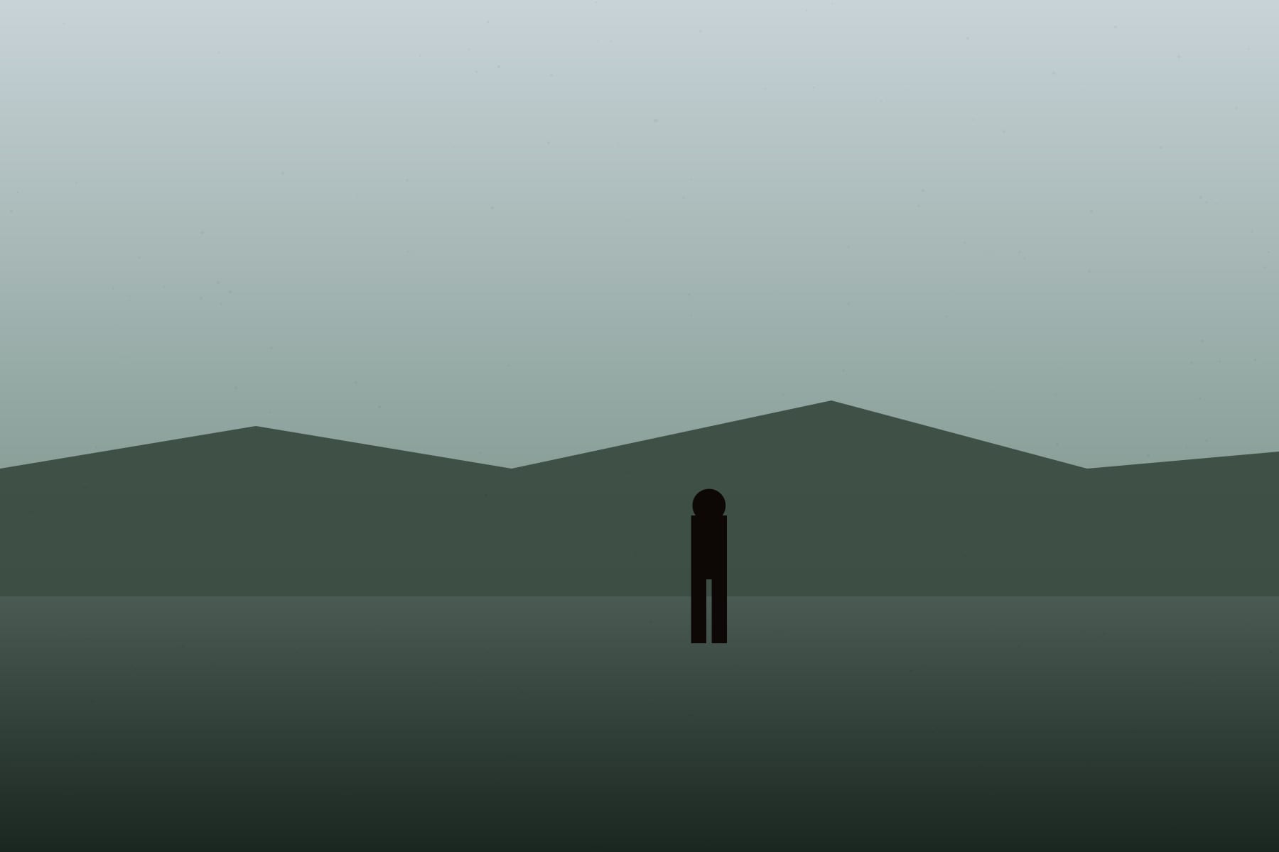 Placeholder — forest landscape, low light.
